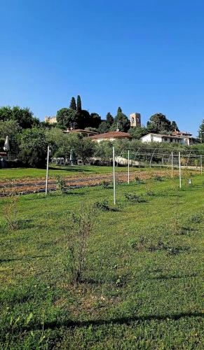 a field with poles in the middle of a field at Agriturismo 30 in Moniga