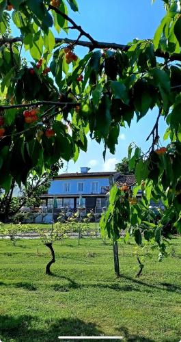 a green field with a building in the background at Agriturismo 30 in Moniga