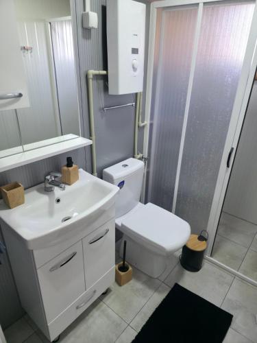 a bathroom with a sink and a toilet and a shower at Guest House Megdani in Ohrid