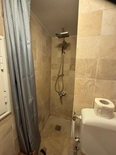 a bathroom with a shower with a toilet and a shower curtain at Mirador de la médina in Tunis