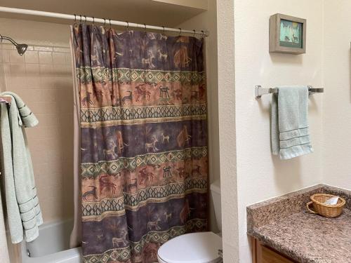 シエラビスタにあるComfortable Generously Furnished Homeのシャワーカーテンとトイレ付きのバスルーム