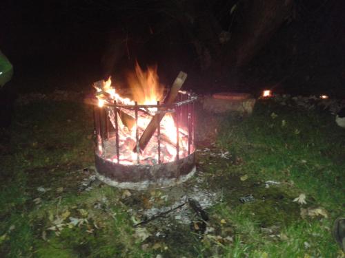 a fire pit in the grass at night at Schlossgut Franken - Schlossapartment Martin in Redwitz an der Rodach