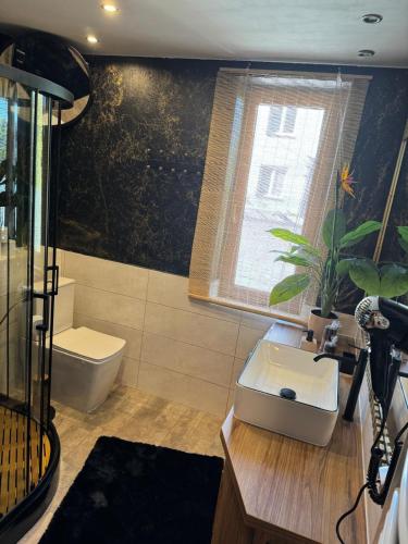 a bathroom with a toilet and a sink and a window at Apartments 52 in Biała Podlaska
