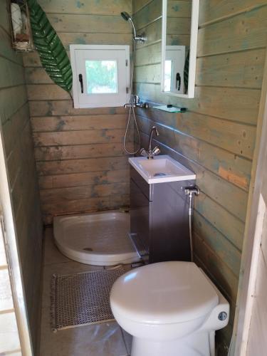 une petite salle de bain avec toilettes et lavabo dans l'établissement Roulotte au numero 886, à Salernes