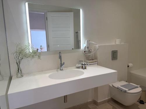 a bathroom with a sink and a mirror and a toilet at Golden Sun Hotel Patmos in Patmos