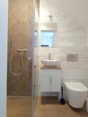 a bathroom with a shower and a sink and a toilet at Willa Kwidziński in Władysławowo
