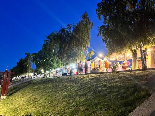 Taman di luar Casa Cristian 900 de metri pana la lac