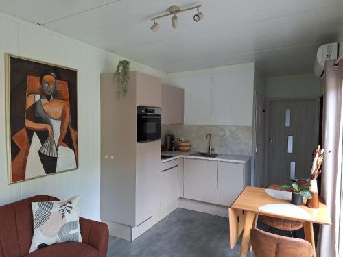 a living room with a kitchen and a dining room at B&B Vierlingsbeek, Appartement en tuin-chalets in Vierlingsbeek