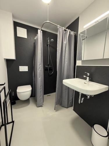 a bathroom with a sink and a toilet and a shower at Wohnung in Dahme