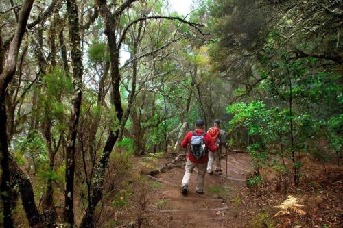 two people walking on a trail in a forest at Miramar 2 - San Sebastin de La Gomera in San Sebastián de la Gomera