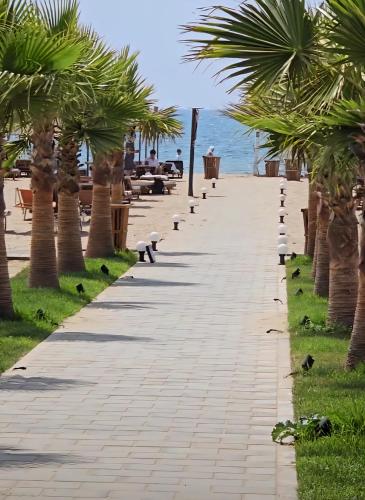 a sidewalk with palm trees and benches on the beach at Premium Melia Garden Apartment in Lalzit Bay