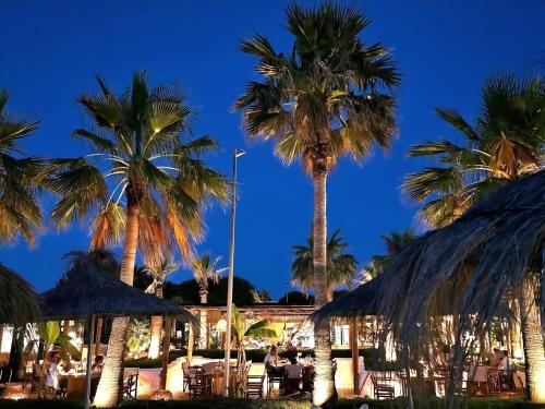 a group of palm trees in front of a hotel at Premium Melia Garden Apartment in Lalzit Bay