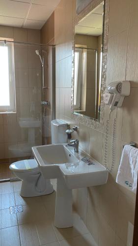 a bathroom with a sink and a toilet and a mirror at Pensiunea Tulip in Baile Felix