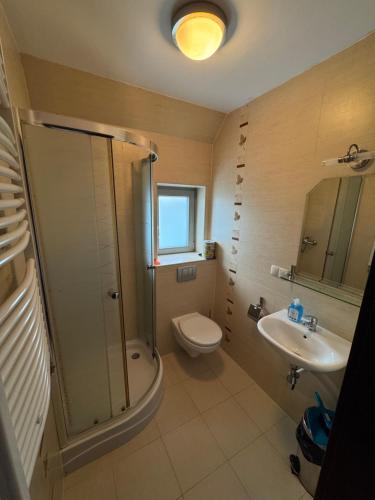 a bathroom with a shower toilet and a sink at Eurybia in Łeba