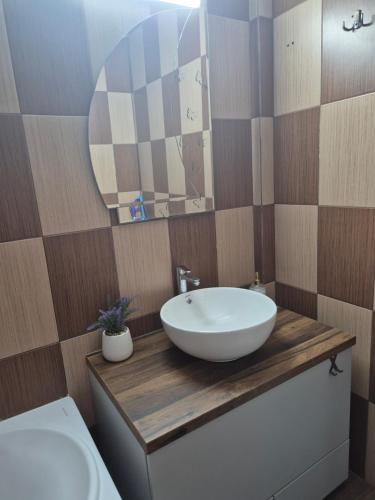 Koupelna v ubytování Apartament Compozitori cu parcare și balcon