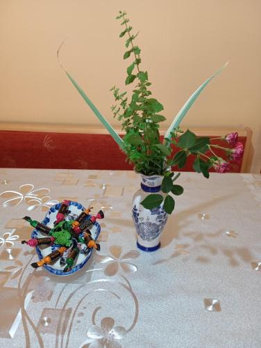 a table with a plate and a vase with a plant at Milica Apartmani in Vrdnik