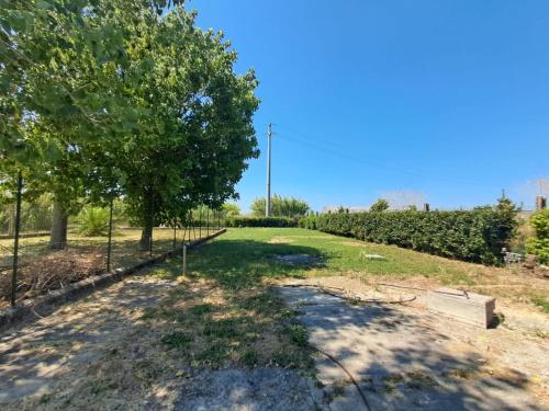 a field with a tree and a dirt road at Casa da Lilli in Cascina