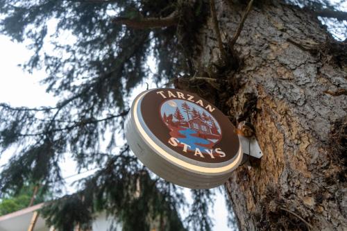 a frisbee hanging on the side of a tree at Tarzan Stays Jibhi in Shoja
