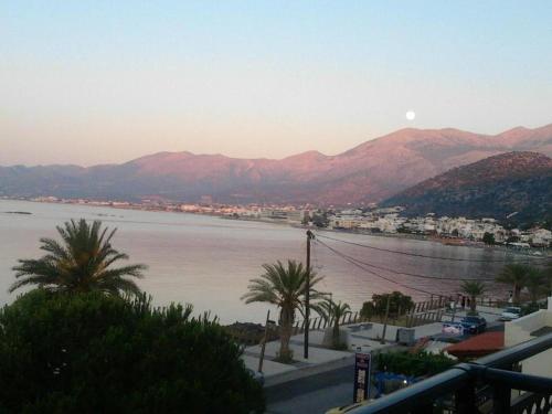 a view of a large body of water with palm trees at Diamond Beach Apts & Studios in Stalida