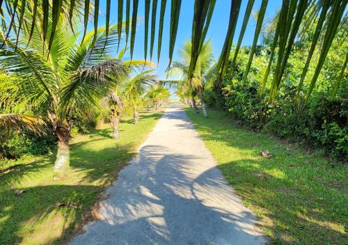 a dirt road with palm trees on either side at ATAMI STAY Casa em Condomínio com Piscina Aquecida pertinho do Mar in Pontal do Paraná