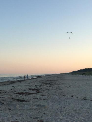 two people standing on the beach flying a kite at Stylish Swedish farmhouse in Borrby