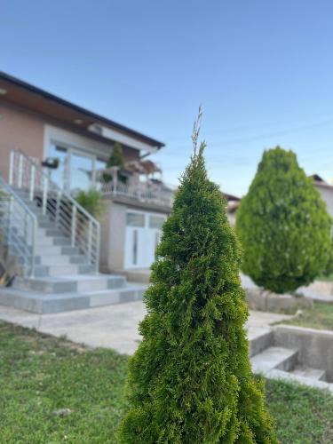 a green christmas tree in front of a house at Stella 2 Apartment in Negotino