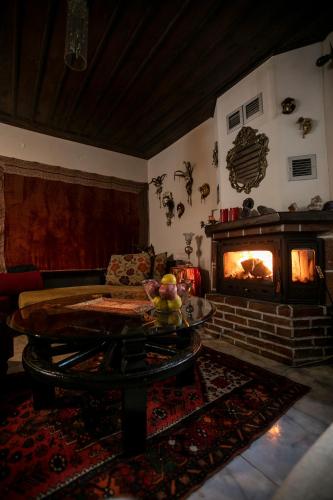 a living room with a couch and a fireplace at Panorama Prespes in Agios Germanos