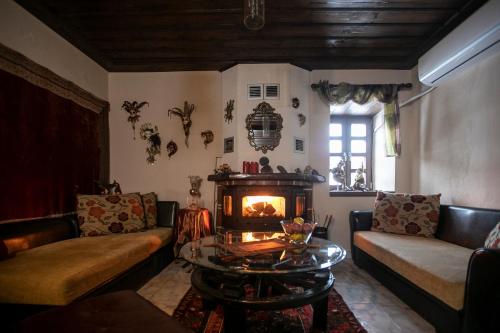 a living room with a couch and a fireplace at Panorama Prespes in Agios Germanos