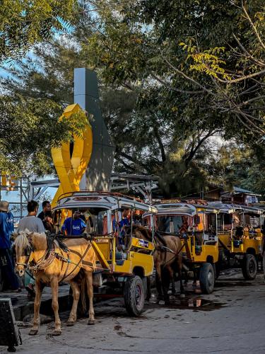 a group of horses pulling a yellow horse drawn carriage at Kalamoana House in Gili Trawangan
