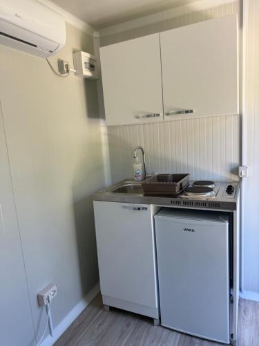 a small kitchen with a stove and a sink at Mobilna kucica M in Donji Štoj