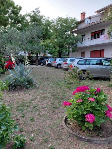 a yard with a bunch of flowers and parked cars at Lopar 516 in Lopar