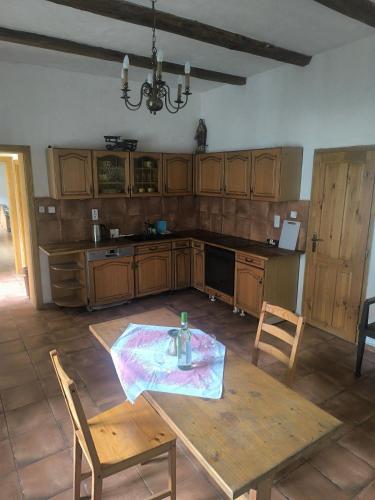 a kitchen with a table and chairs in a room at Ubytování u řeky Lužnice na statku ,,U stříbrné podkovy" in Třebiště