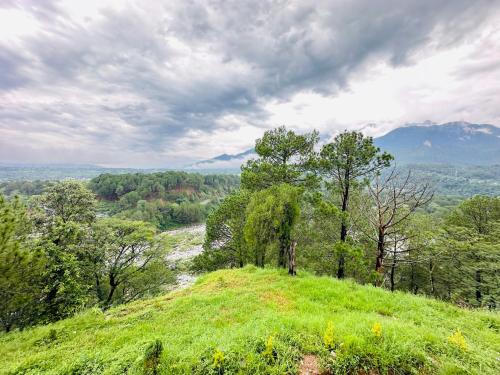 a green hill with trees and a river on it at The Ananta Palampur in Pālampur