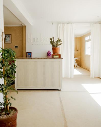 a room with a counter and a potted plant at Blue Kaouki Boutique Hotel in Sidi Kaouki