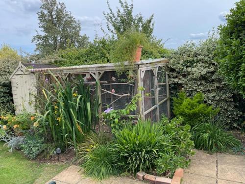 a garden with a wooden fence and some plants at Ferncroft Garden Studio in Histon