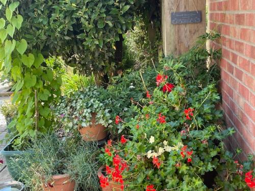 a group of plants and flowers in pots next to a building at Ferncroft Garden Studio in Histon