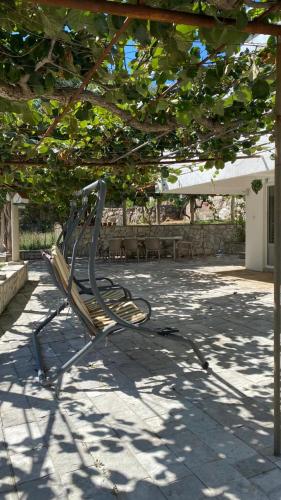 a park bench sitting under a tree under a canopy at Villa Rezevici in Katun
