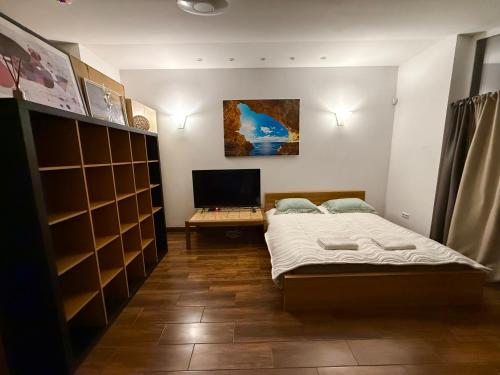 a bedroom with a bed and a television in it at CENTRO House in Alytus