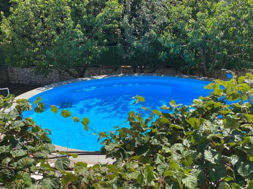 a large blue pool with trees in the background at Villa Rezevici in Katun