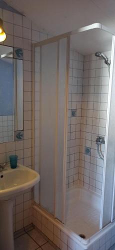 a bathroom with a shower and a sink at Agroturystyka Stajnia Dorado Pokoje Gościnne i Apartamenty in Leoncin