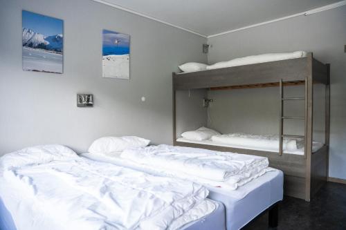 two bunk beds in a room next to each other at Hemsedal Cafe Skiers Lodge in Hemsedal