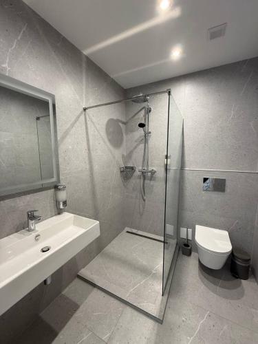 a bathroom with a shower and a sink and a toilet at Aero Hotel in Chişinău