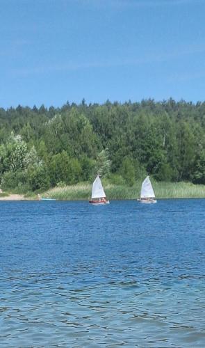 two boats with white sails on a large body of water at Willa nad jeziorem in Budzisław Kościelny