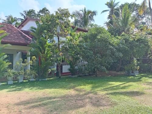 Κήπος έξω από το Verdant Rest 159