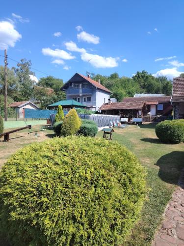 a bush in a yard with a house in the background at Apartmani Mihajlovic Sisevac in Sisevac