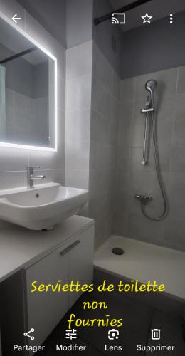 une salle de bain avec un lavabo et une douche avec un miroir dans l'établissement BLEU BOUCHAREL, à Saint-Aygulf