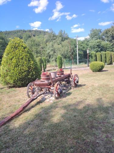 an old wagon with flowers on it sitting in a field at Apartmani Mihajlovic Sisevac in Sisevac