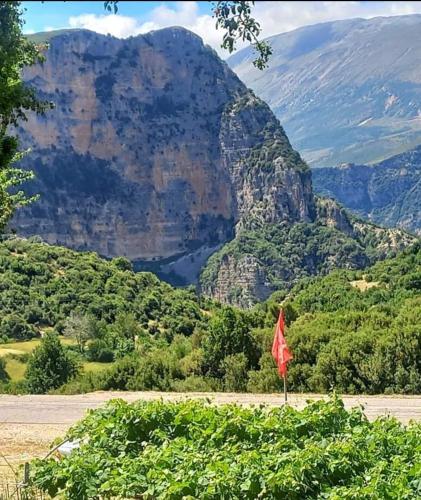 Φωτογραφία από το άλμπουμ του Guest House Vatra σε Lekdush