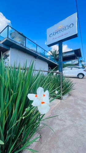 a white flower sitting in front of a building at Pousada Capitólio in Capitólio