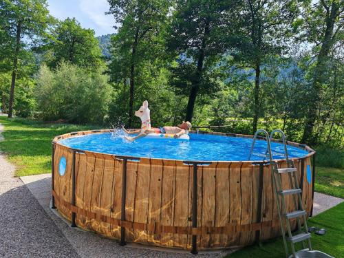 Bazén v ubytování Creekside House with pool nebo v jeho okolí